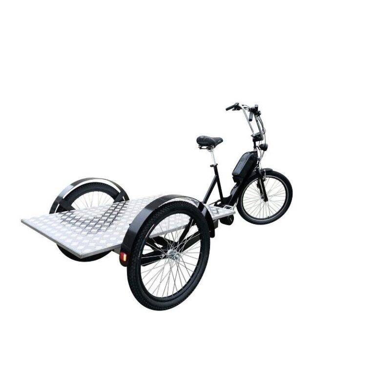 cargobike-trasporto-merci-con-pianale-2