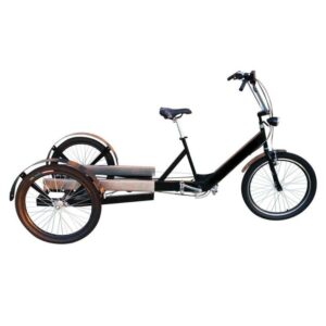 cargobike trasporto merci senza allestimento