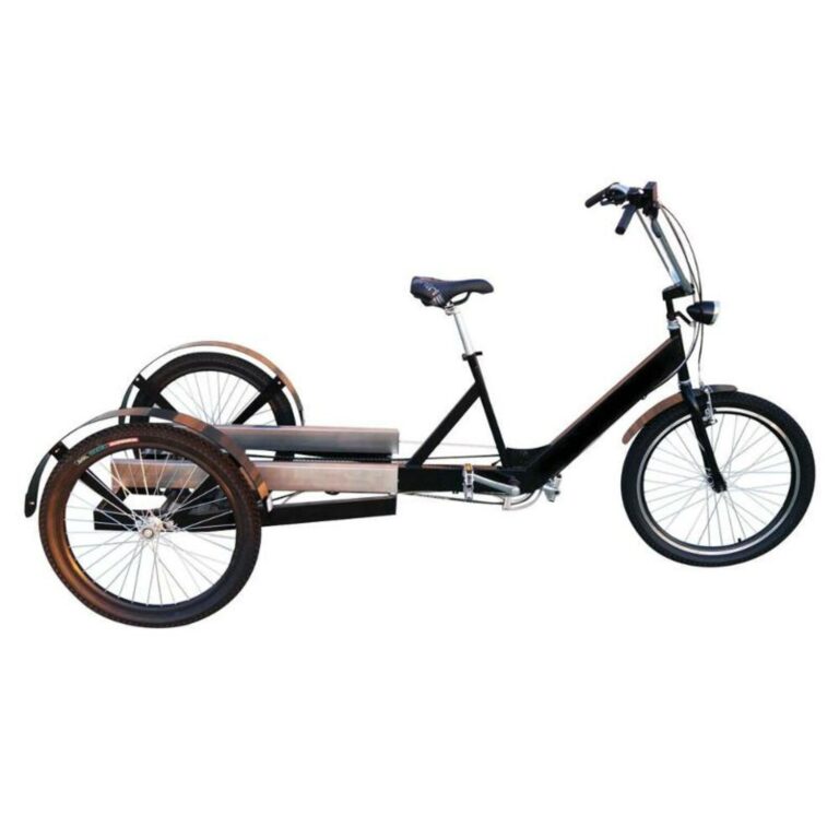 cargobike trasporto merci senza allestimento