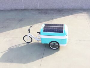 TRICICLO CARGO BIKE ITALY GELATERIA AUTONOMA