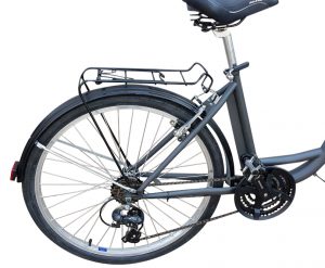 TRICICLO CARGO BIKE LOW