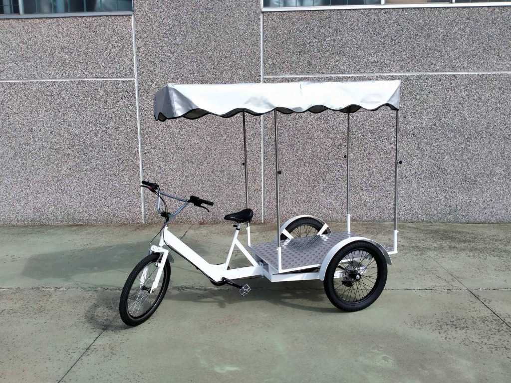 TRICICLO CARGO BIKE ITALY HEAVY DUTY