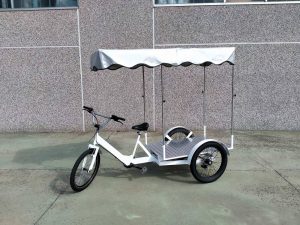 TRICICLO CARGO BIKE ITALY HEAVY DUTY