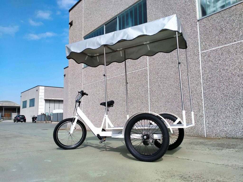 TRICICLO CARGO BIKE ITALY HEAVY DUTY