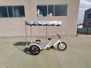 TRICICLO CARGO BIKE ITALY HEAVY DUTY