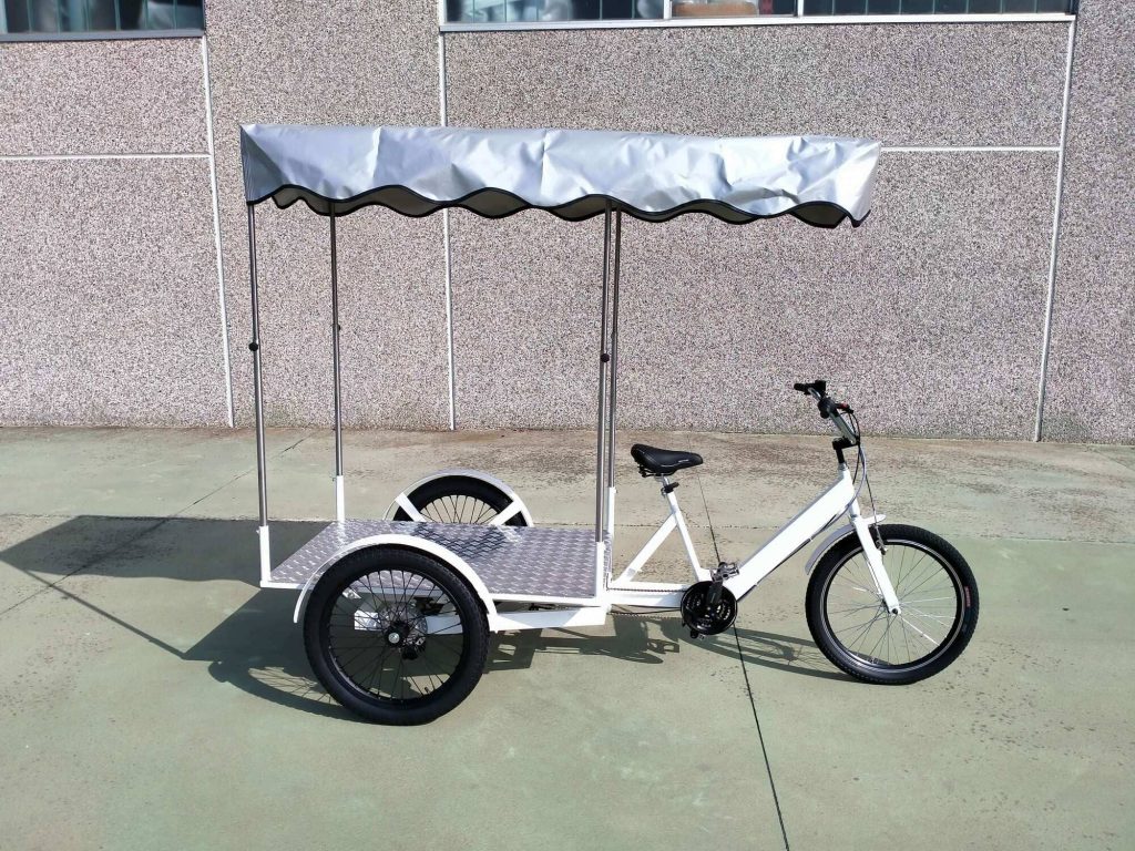 TRICICLO CARGO BIKE ITALY HEAVY DUTY