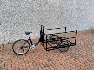 TRICICLO CARGO BIKE LOW