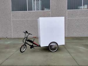 TRICICLO CARGO BIKE ITALY HEAVY DUTY CASSONE