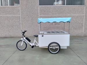 TRICICLO CARGO BIKE GELATERIA AUTONOMA STREET FOOD