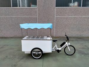 TRICICLO CARGO BIKE GELATERIA AUTONOMA STREET FOOD