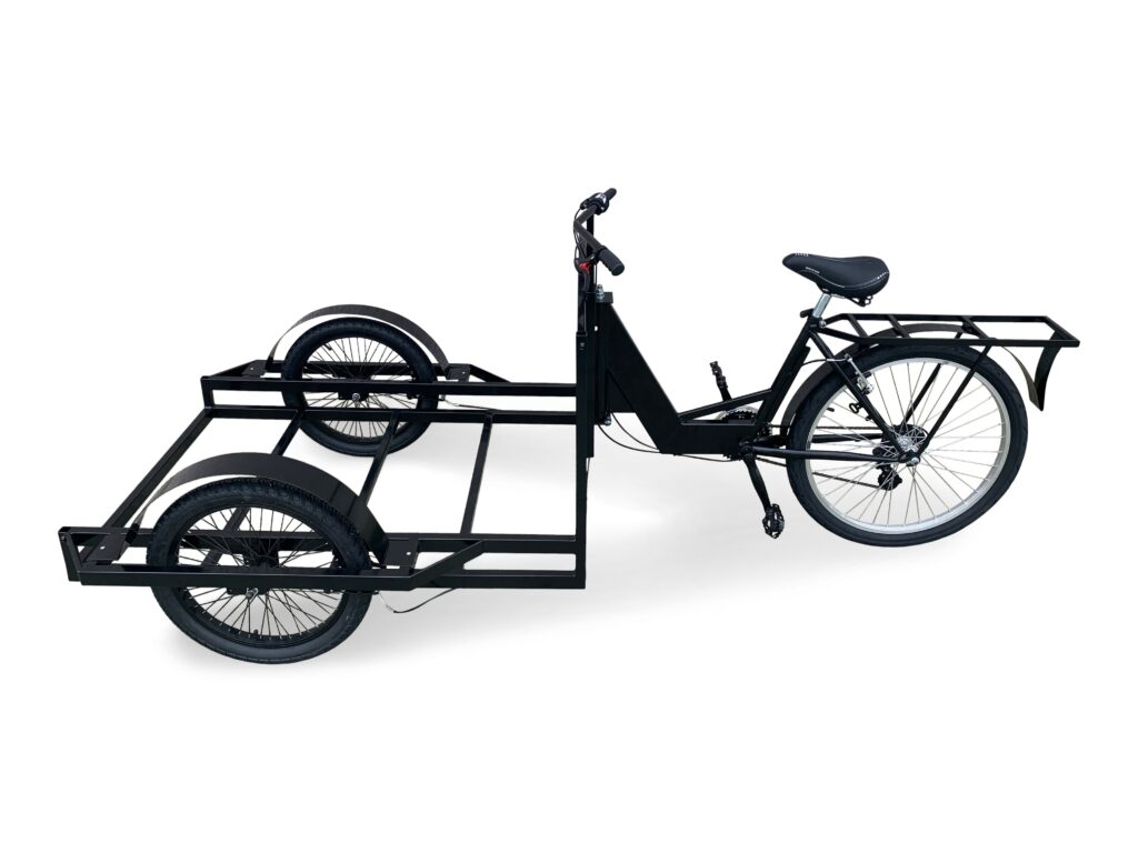 cargo bike low